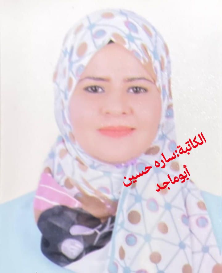 ساره حسين تكتب :   في مواجهة سخافات منصات التواصل الاجتماعي