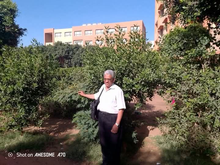 نهايات موجعة