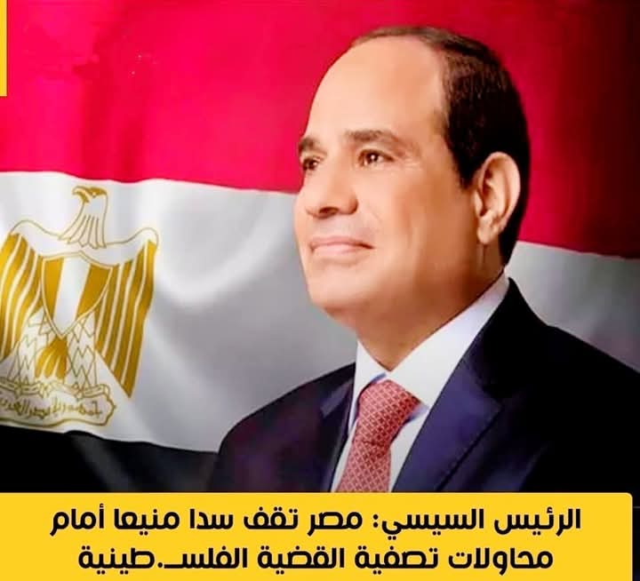 الرئيس السيسى: مصر تقف سدا منيعا أمام محاولات تصفية القضية الفلس..طينية