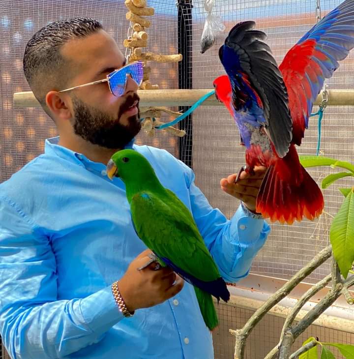 الكاتب أحمد حمدى أبو الفتوح يكشف تفاصيل كتاب«حياة البغبغانات»