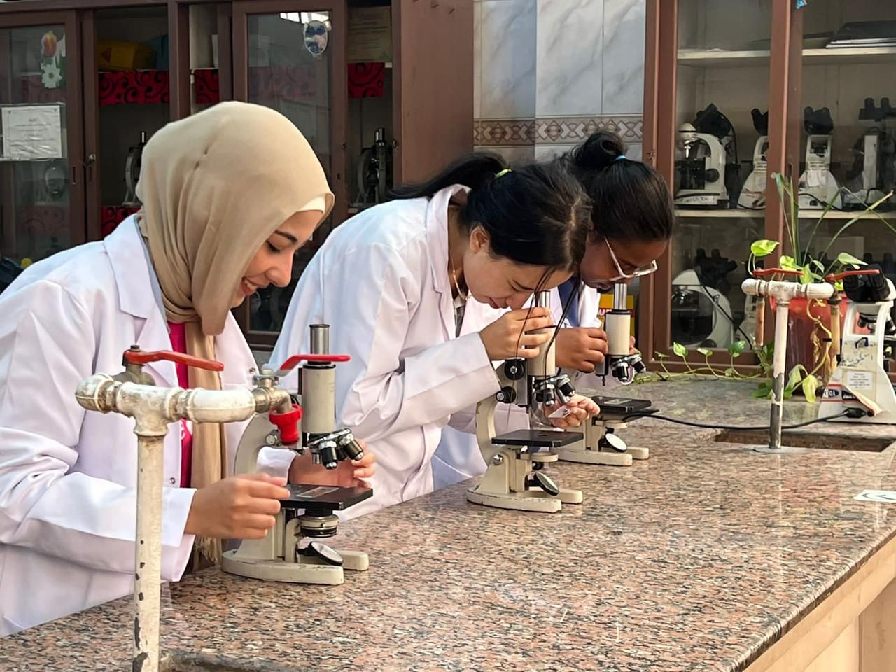 بدء التدريب العملى لطلاب طب القاهرة الأهلية بمعامل قصر العينى
