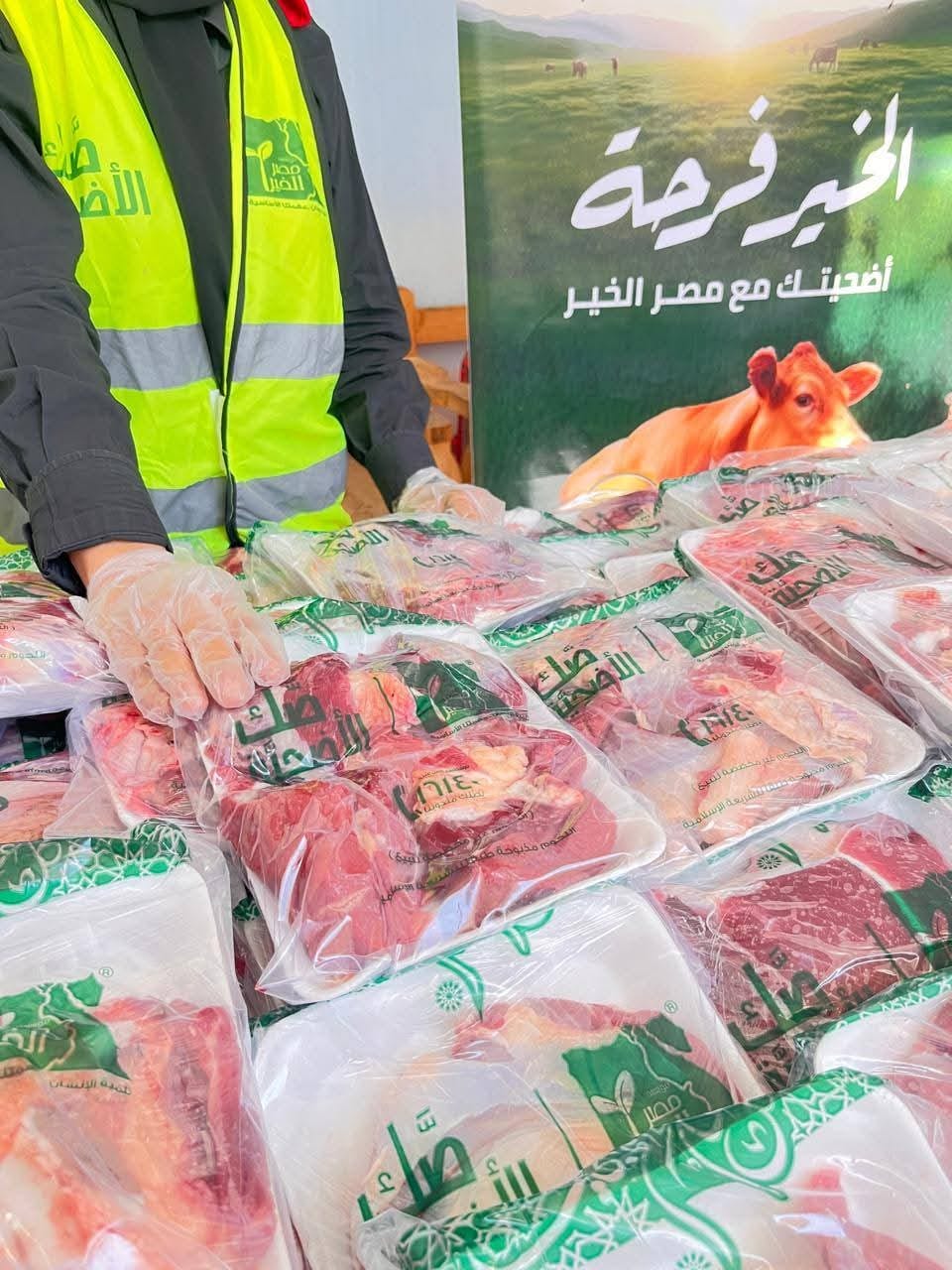 محافظ المنيا: توزيع لحوم 186 أضحية على 131 ألف أسرة بالتعاون مع مصر الخير