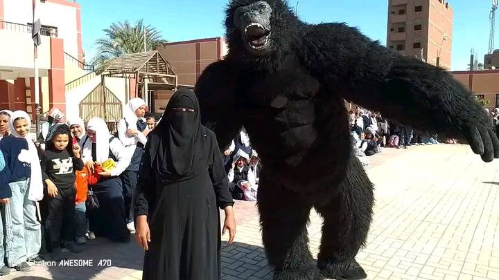 الخبيرة التعليمية سعاد السمان : أهنأ محافظ اسوان والقيادات التعليمية بمناسبة بدء العام الدراسي الجديد 2025