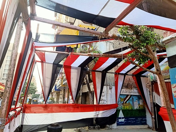 الوطنية للانتخابات تبدأ الفصل في التظلمات على قرارات اللجان العامة بانتخابات مجلس الشيوخ 2025