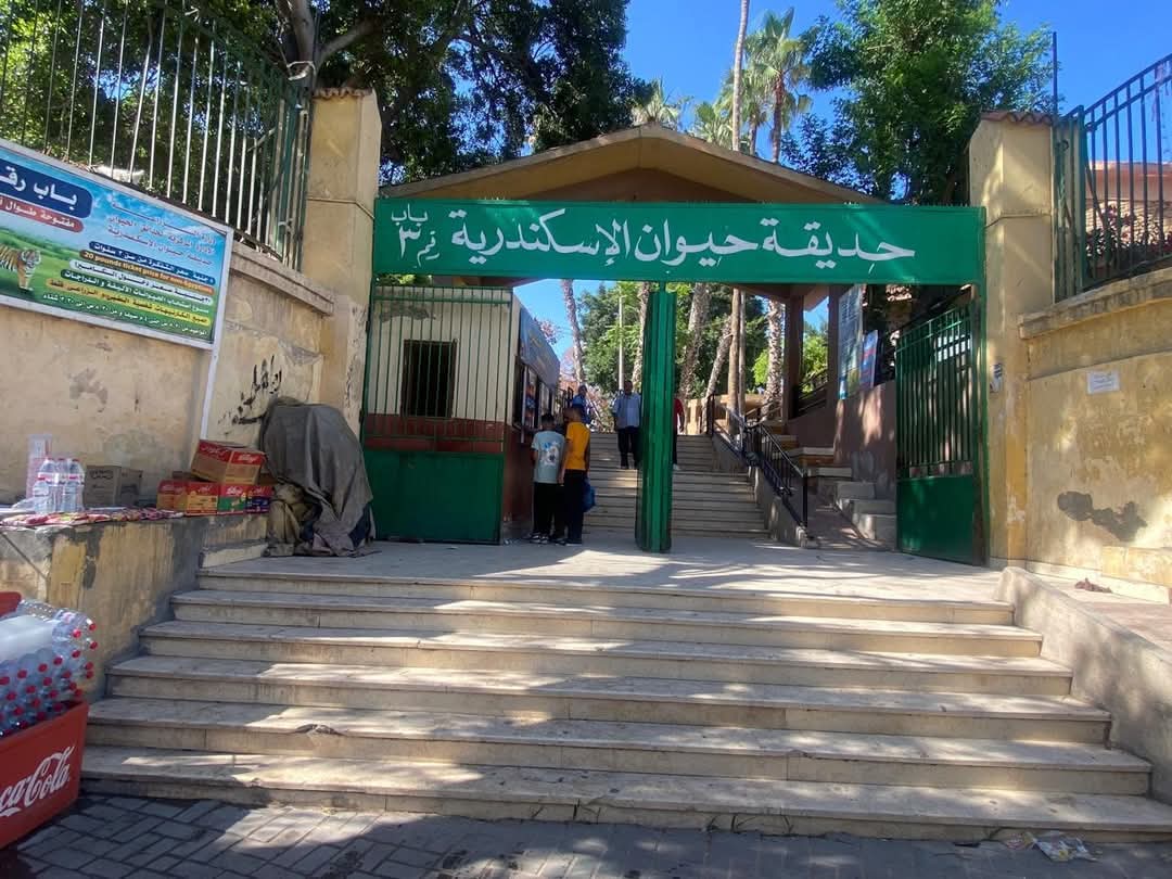 الزراعة