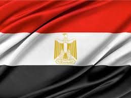 الوطنية تاج الشرفاء.. والخيانة لعنة المأجورين: مصر بين أنس وميدو بقلم : حسام النوام