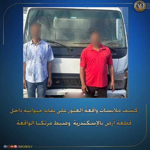 مفاجأة وراء لغز العثور على أجولة مشبوهة تحوي بقايا حيوانات بالإسكندرية
