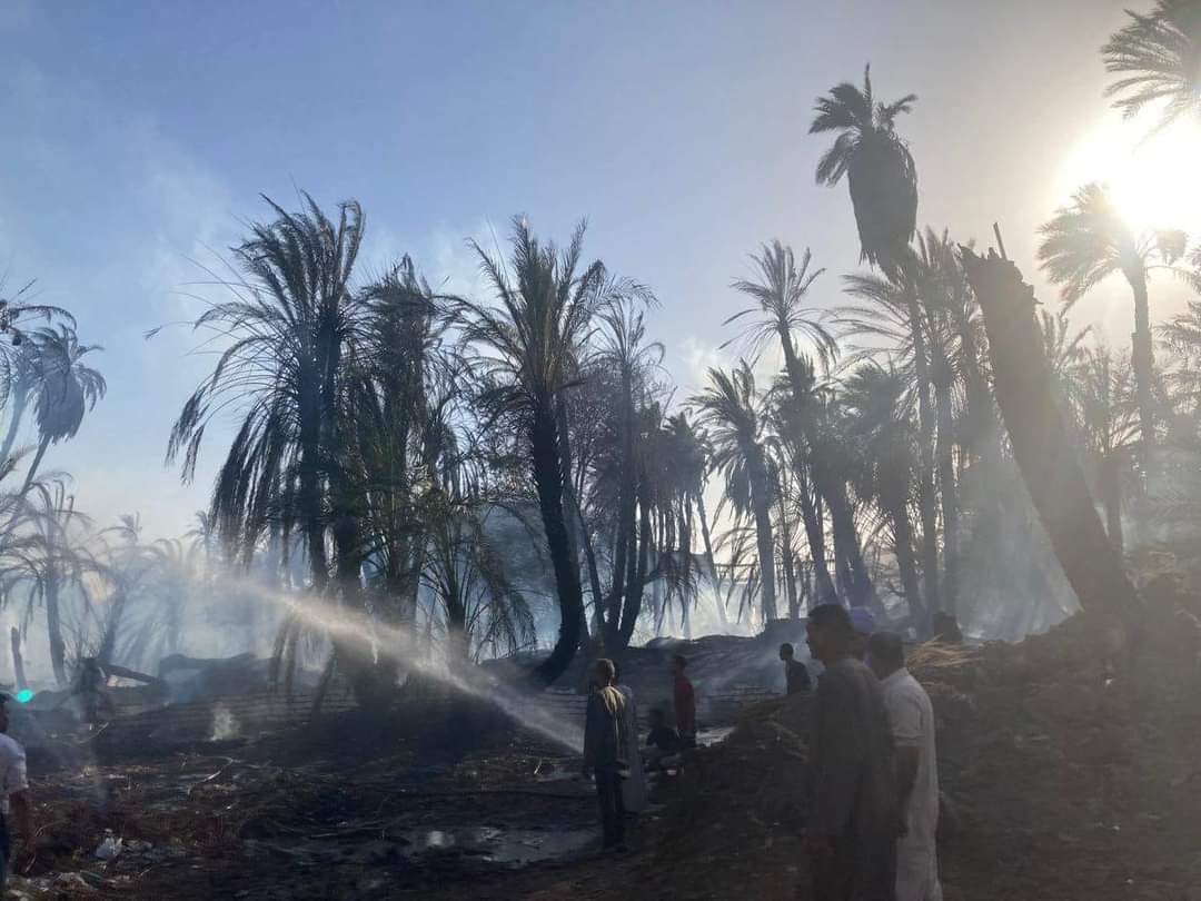 إصابات وخسائر في الأرواح في حريق إلتهم 500 نخلة بعزبة المصري بمركز إدفو بإسوان