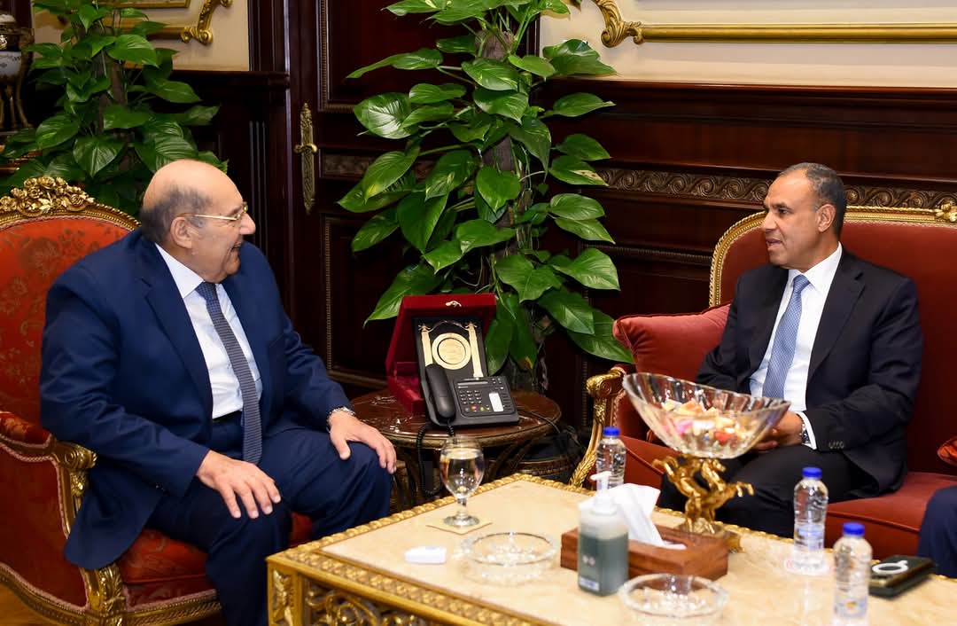 وزير الخارجية والهجرة يلتقى مع رئيس مجلس الشيوخ
