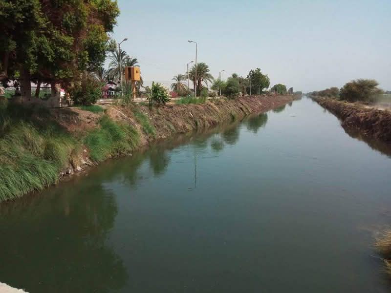 انتشال جثة مسن إثر سقوطه غارقا بترعة سندنهور بمركز بلبيس بالشرقية 