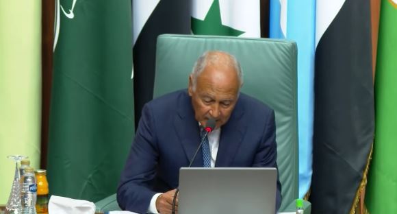 أبو الغيط: منظمة العمل العربية ركن أساسي في منظومة العمل العربي المشترك