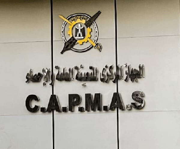 بمناسبـة اليــوم العالمــي للفتاة 12.4% نسبة الفتيات بالفئة العمرية (6 -17 سنة) بمصر عام 2025 