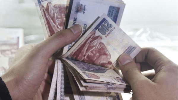 استثمارات البنك الأهلي المصري ترتفع إلى 3.1 تريليون جنيه 