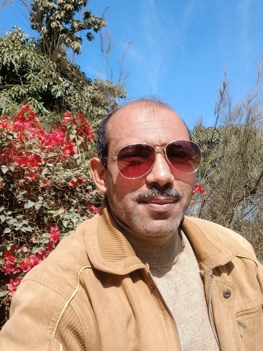 ٨٠٩ ..جمالُ اللغةِ العربية 
