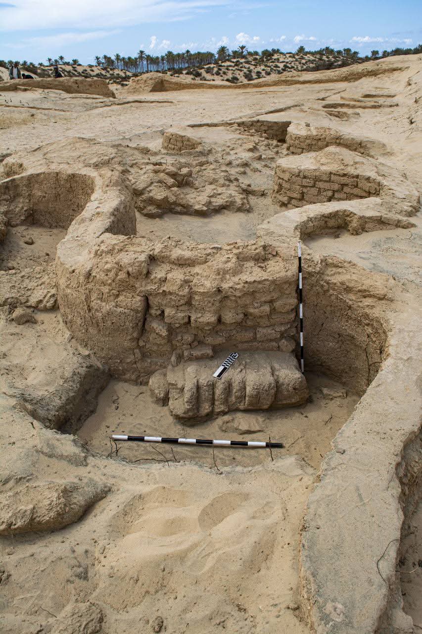 إكتشاف قلعة عسكرية جديدة من عصر الدولة الحديثة على طريق حورس الحربي بسيناء    