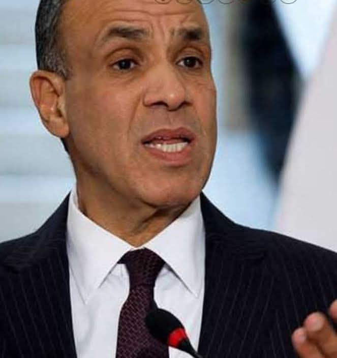 بدر: تحويلات المصريين بالخارج أصبحت المصدر الأول للدخل القومي المصرى من العملة الصعبة