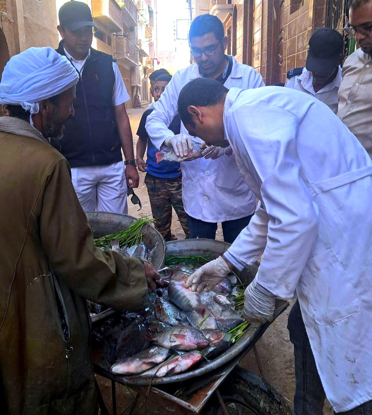 ضبط 197 كيلو لحوم وأسماك غير صالحة للاستهلاك الآدمي في حملات تفتيشية للطب البيطري 