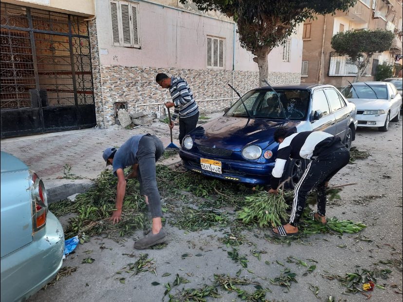 رئيس مدينة بورفؤاد يتابع جهود رفع كفاءة المسطحات الخضراء والجزر الوسطى بشارع 23 يوليو