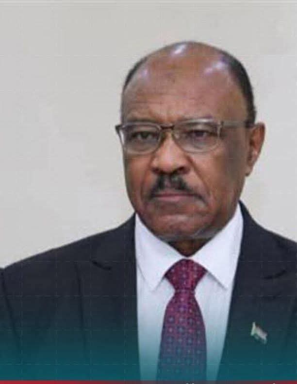 وزير الخارجية السودانى: الرئيس السيسى يقود المنطقة برؤية جديدة تعيد التوازن للقارة