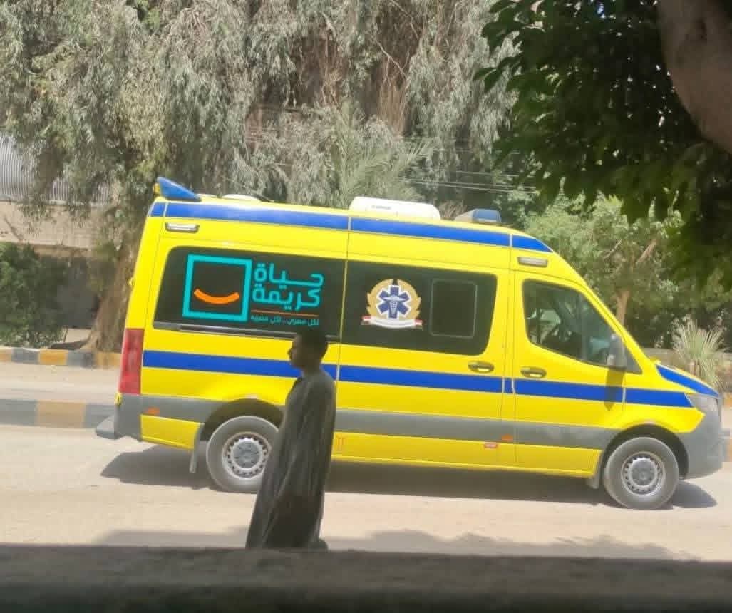 مصرع شابين صدمهم القطار أثناء عبورهم من مكان غير مخصص لعبور المشاة بمركز طما