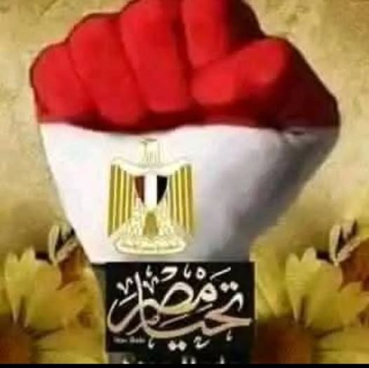 أيمن بحر يكتب: وقفة عز.. مصر أمانة فى أعناقنا