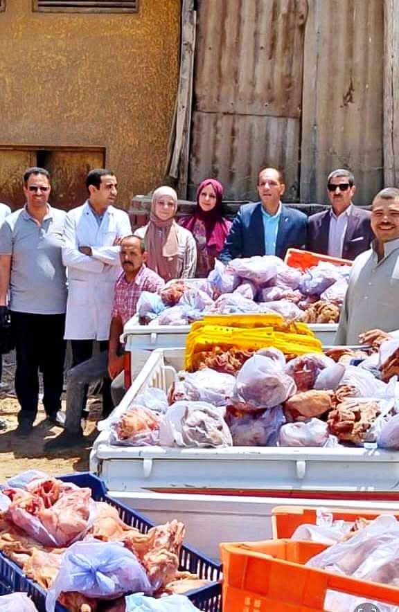 ضبط أكثر من 3 طن دواجن غير صالحة للاستهلاك الآدمي في حملة مكبرة بسوهاج