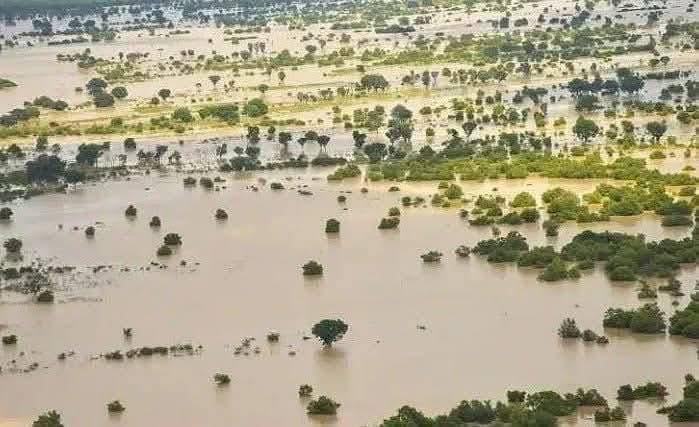 انذار أحمر في السودان وفيضان النيل الأزرق بين حسابات الطبيعة ومغامرات السياسة