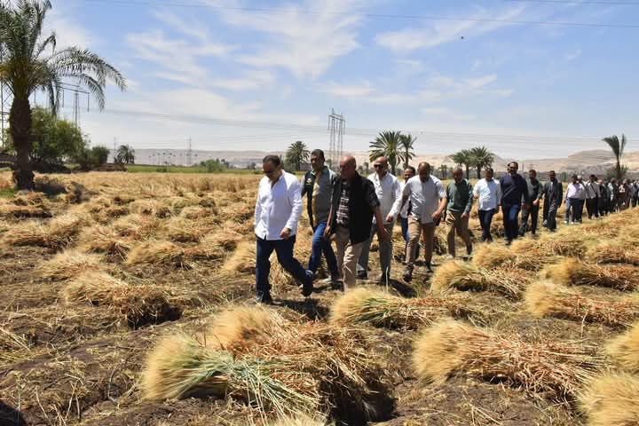 محافظ أسيوط: توريد 19,798 طن قمح محلي وحصاد 37,730 فدان  منذ بدء موسم 2025 وحتى الان
