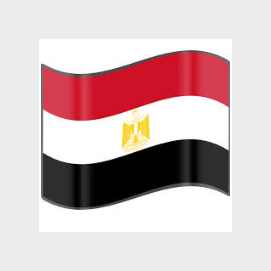 إين دور الأحزاب من تقديم أفكار وبرامج إصلاح إقتصادى لمصرنا الحبيبة 