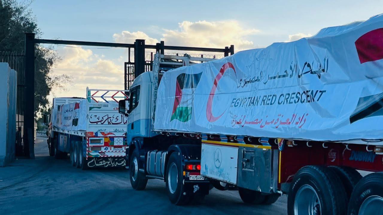 خمسون يومًا من زاد العزة من مصر إلى غزة عندما تصنع مصر الكرامة فعلًا لا قولًا