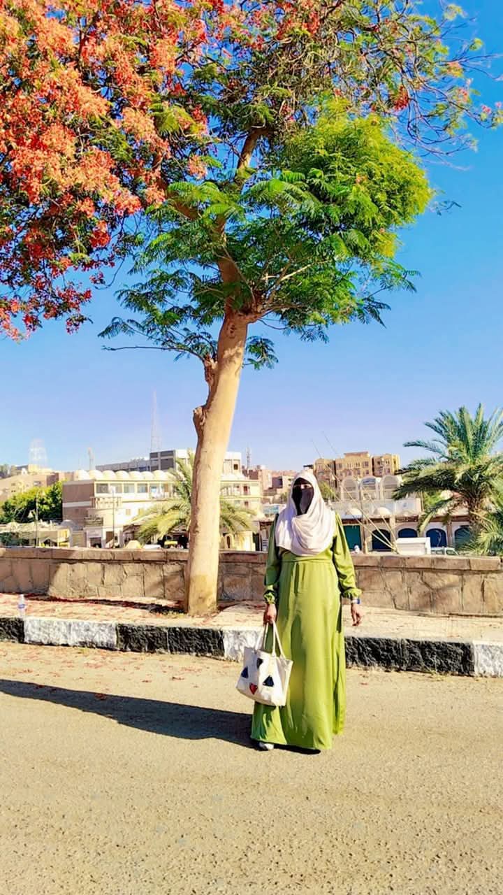 مطالب حقوقيه بتشجير شوارع دراوشمال اسوان وانشاء حدائق عامه