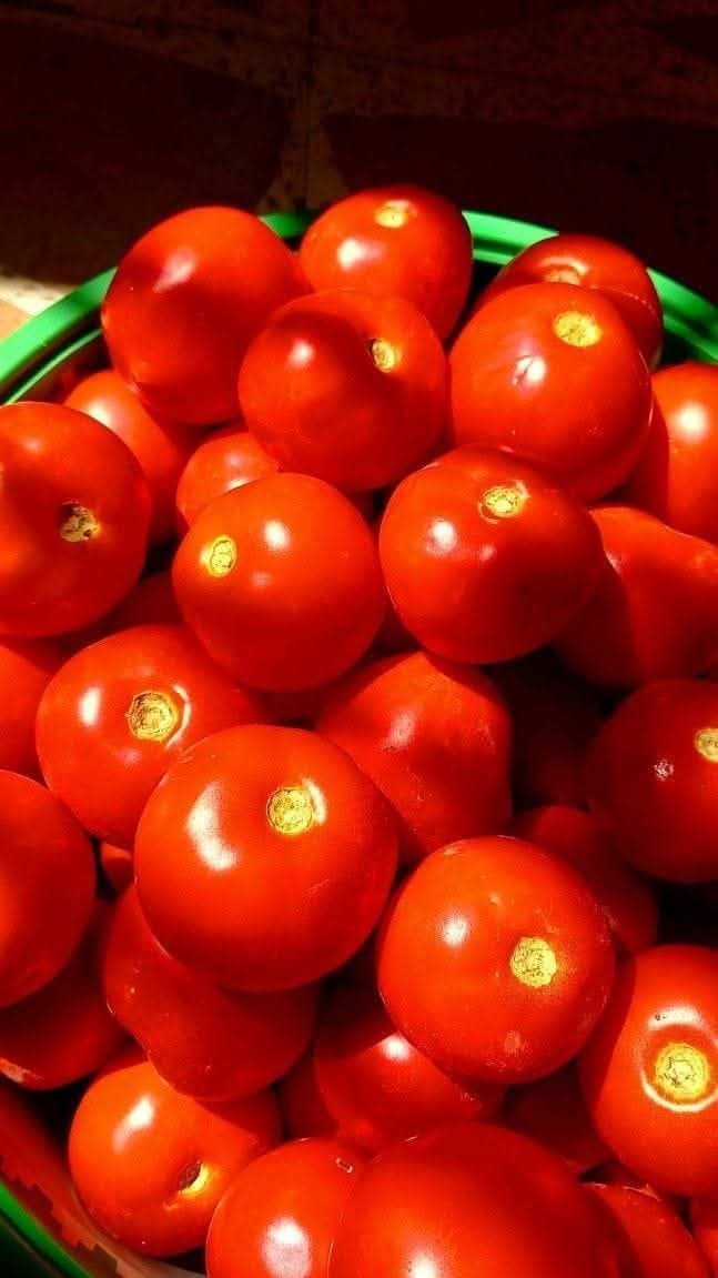 كيف تساعد الطماطم في الوقاية من هذة الأمراض .. أغربها الحصوات والزهايمر