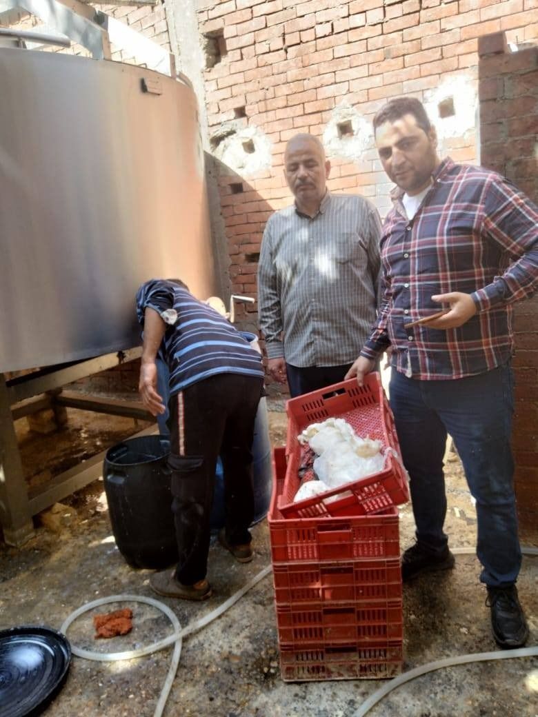 ضبط معمل ألبان غير مرخص بداخله طن لبن غير صالح للاستهلاك الأدمي خلال حملة رقابية بالقوصية